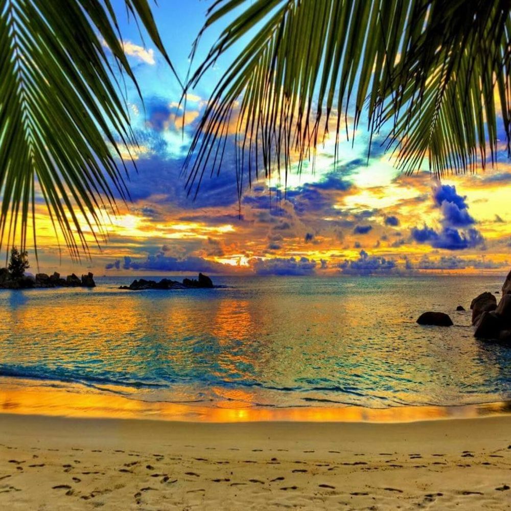 Meet your Posher, Judye